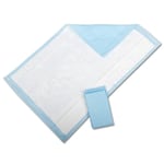 Protection Plus Fluff-Filled Disposable Underpads, Economy, 23in x 36in, 25 Underpads Per Bag, Case Of 6 Bags