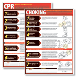 ComplyRight CPR And Choking Poster Bundle, English, 18in x 24in, English