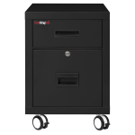 FireKing 18inW Vertical 2-Drawer Mobile Locking Fireproof File Cabinet, Metal, Black, White Glove Delivery