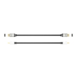 j5create - DisplayPort cable - DisplayPort (M) latched to DisplayPort (M) latched - DisplayPort 1.2 - 6 ft - 4K support - black