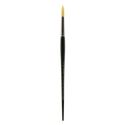 Winsor & Newton Winton Hog Paint Brush, Size 8, Fan Bristle, Hog Hair, Green