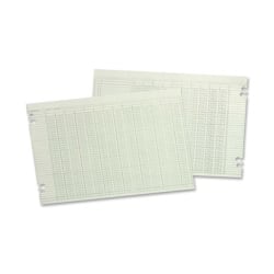 Wilson Jones Ledger Sheets, Ending Balance, 9 1/4in x 11 7/8in, Green, Pack Of 100