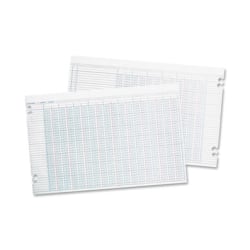 Wilson Jones Columnar Ruled Sheets, 11in x 17in, 36 Lines, 24 Columns, 100/Pack - 24 lb - Double Sided Sheet - Ledger - 17in x 11in Sheet Size - 2 x Holes - Green Sheet(s) - Brown, Green Print Color - Paper - 100 / Pack