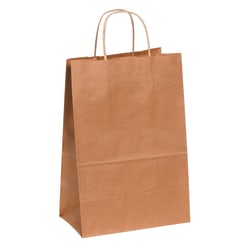 Partners Brand Paper Shopping Bags, 13inH x 10inW x 5inD, Kraft, Case Of 250