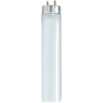 Satco 48in T8 Fluorescent Bulbs, 32 Watt, Carton Of 6