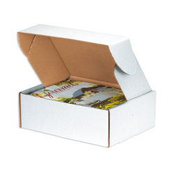 Partners Brand Deluxe Literature Mailers 10in x 10in x 5in, Pack of 50