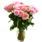 Rose Farmers Bi-Color Eyecatcher Long Stem Roses, Pink, Box Of 24 Roses