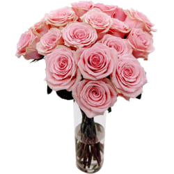 Rose Farmers Pink Passion Long Stem Roses, Pink, Box Of 12 Roses