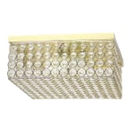 Elegant Designs Elipse Crystal 2-Light Square Flush Mount Ceiling Fixture, 12inW, Gold