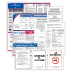 ComplyRight Public Sector Federal And State Poster Set, English, New Mexico