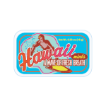 AmuseMints Destination Mint Candy, Hawaii Surfer, 0.56 Oz Tin, Pack Of 24