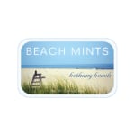 AmuseMints Destination Mint Candy, Bethany Beach, 0.56 Oz, Pack Of 24