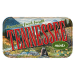 AmuseMints Destination Mint Candy, Tennessee Green, 0.56 Oz, Pack Of 24