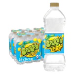 Splash Refresher Lemon Flavor Water Beverage 16.9 FL OZ Plastic Bottle Pack of 24