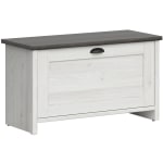 Lifestyle Solutions Harvard 34inW Shoe Cabinet, Whitewash/Dark Gray