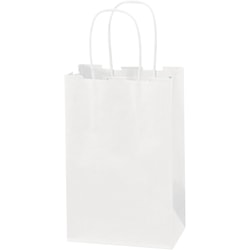 Partners Brand Paper Shopping Bags, 19 1/4inH x 16inW x 6inD, Kraft, Case Of 200