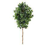 Nearly Natural Ficus 72inH Artificial Plant, 72inH x 8inW x 8inD, Green