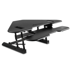 Rise Up Electric 48inW Standing Computer Desk, Black Frame