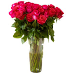 Rose Farmers Hot Pink Long Stem Roses, Hot Pink, Box Of 12 Roses