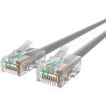 Belkin Cat5e Patch Cable - RJ-45 Male Network - RJ-45 Male Network - 1ft - Gray