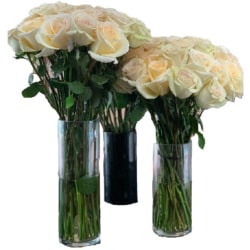 Rose Farmers Cream Dazzler Long Stem Roses, Cream, Box Of 12 Roses