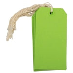 JAM Paper Gift Tags, 4 3/4in x 2 3/8in, Green, Pack Of 10