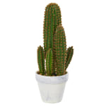 Nearly Natural Cactus Succulent 18in Artificial Plant With Planter, 18inH x 7inW x 6inD, Green