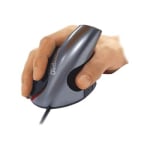 Ergoguys Wow Pen JOY WP-012-S-E Vertical Mouse