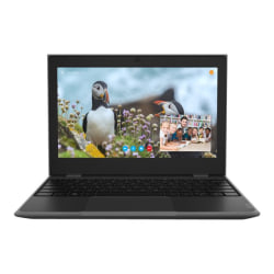 Lenovo 100e Windows 2nd Gen 81M80063US 11.6in Netbook - HD - 1366 x 768 - Intel Celeron N4020 Dual-core 1.10 GHz - 4 GB RAM - 64 GB Flash Memory - Gray - Windows 10 Pro - Intel UHD Graphics 600 - Twisted nematic (TN)