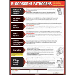 ComplyRight Bloodborne Pathogens Poster, 18in x 24in