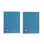 Alpine AdirMed Large Dual Lock Surface-Mount Medical Security Cabinets, 21inH x 16inW x 6inD, Blue, Pack Of 2 Cabinets