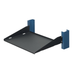 RackSolutions - Rack shelf - black - 2U - 19in