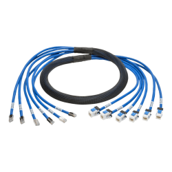 Tripp Lite 6ft Augmented Cat6 Cat6a Pre-Terminated Copper trunk Bundle 6xRJ45 M/F 6ft - First End: 6 x RJ-45 Male Network - Second End: 6 x RJ-45 Female Network - 10 Gbit/s - Patch Cable - Gold Plated Contact - 23 AWG - Blue