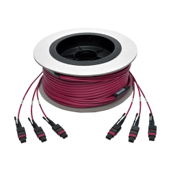 Tripp Lite MTP/MPO Multimode Base-8 Trunk Cable 24-Strand 40GB/100GB 40/100GBASE-SR4 OM4 Plenum-Rated (3xF/3xF) Push/Pull Tab Magenta 23 m (75 ft.)