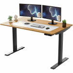 Rise Up Electric 48inW Standing Computer Desk, Natural/Silver