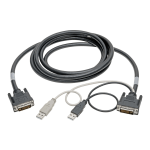 Tripp Lite DVI to USB-A Dual KVM Cable Kit 2x Male 2x Male 1080p @60Hz 10ft - First End: 1 x DVI-I (Dual-Link) Male Digital Video - Second End: 1 x DVI-I (Dual-Link) Male Digital Video, Second End: 2 x USB Type A Male - 60 MB/s - Black