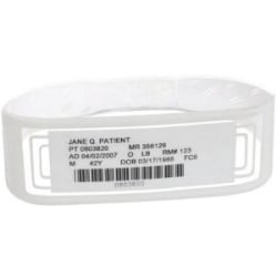 Zebra OmniBand Adult - White - 3.374 in x 1.126 in 1000 label(s) (500 sheet(s) x 2) wristband labels