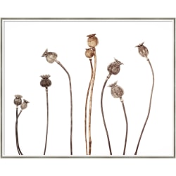 Timeless Frames Katrina Framed Floral Artwork, 11in x 14in, Brown, Mini Bouquet IV