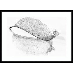 Amanti Art Modern Circles Light Gray by Teju Reval Wood Framed Wall Art Print, 31inW x 41inH, White