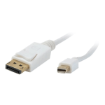 Comprehensive - DisplayPort cable - Mini DisplayPort (M) to DisplayPort (M) - 6 ft - molded - snow white