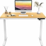 Rise Up Essential 48inW Electric Standing Computer Desk, White