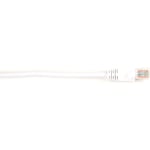 Black Box Connect Cat.6 UTP Patch Network Cable - 10 ft Category 6 Network Cable for Network Device - First End: 1 x RJ-45 Network - Male - Second End: 1 x RJ-45 Network - Male - 1 Gbit/s - Patch Cable - Gold Plated Contact - CM - 26 AWG - White