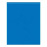 Partners Brand 2 Mil Colored Reclosable Poly Bags, 10in x 12in, Blue, Case Of 1000