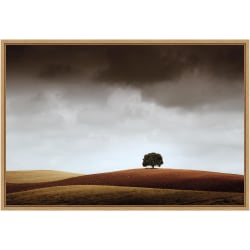 Amanti Art Highland Cow On the Ranch by Andre Eichman Wood Framed Wall Art Print, 30inH x 41inW, Black