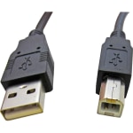 apg USB Cable - Type A USB - Type B USB