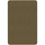 Flagship Carpets Americolors Rug, Rectangle, 12ft x 15ft, Almond