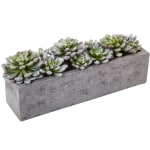 Nearly Natural Succulent 5-1/2inH Plastic Garden With Textured Concrete Planter, 5-1/2inH x 13-1/2inW x 4-1/2inD, Green