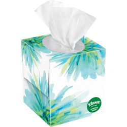 Angel Soft Professional Series 2-Ply Facial Tissue, Box Of 100 Sheets