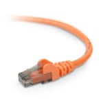 Belkin Cat. 6 Patch Cable - RJ-45 Male - RJ-45 Male - 1ft - Orange