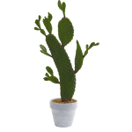 Nearly Natural Cactus 27inH Artificial Plant, 27inH x 11inW x 6inD, Green